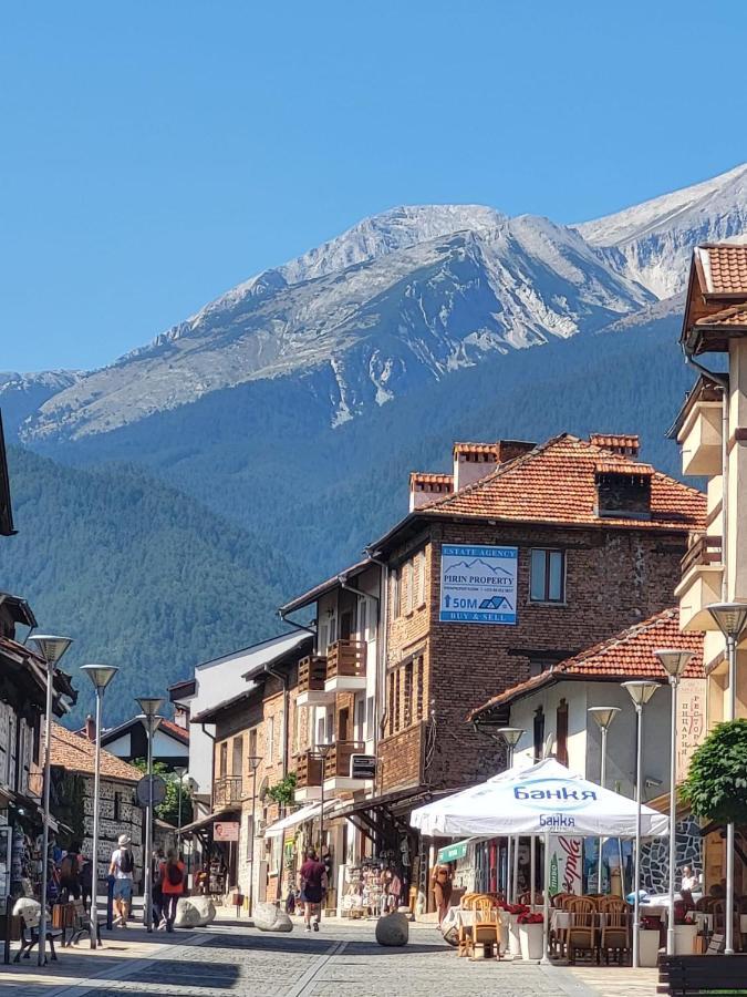 Studio In Cedar Lodge 3 Bansko Exteriér fotografie